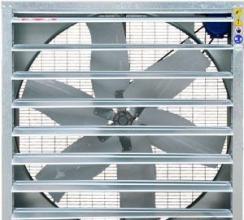 ����ؓ���L�C